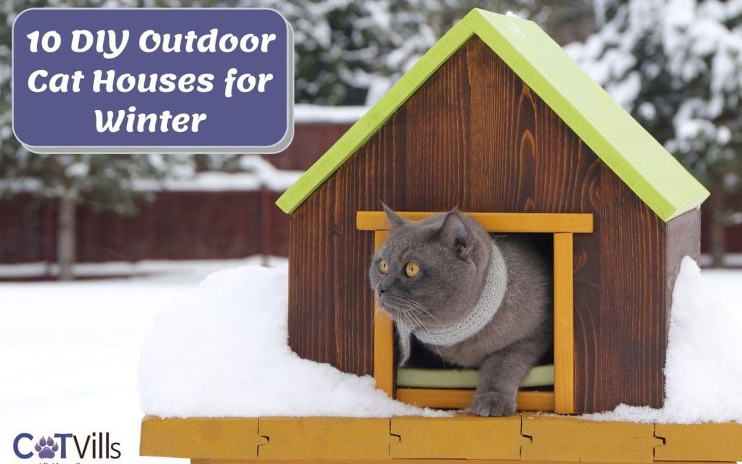10 Outdoor DIY Cat Houses for Winter