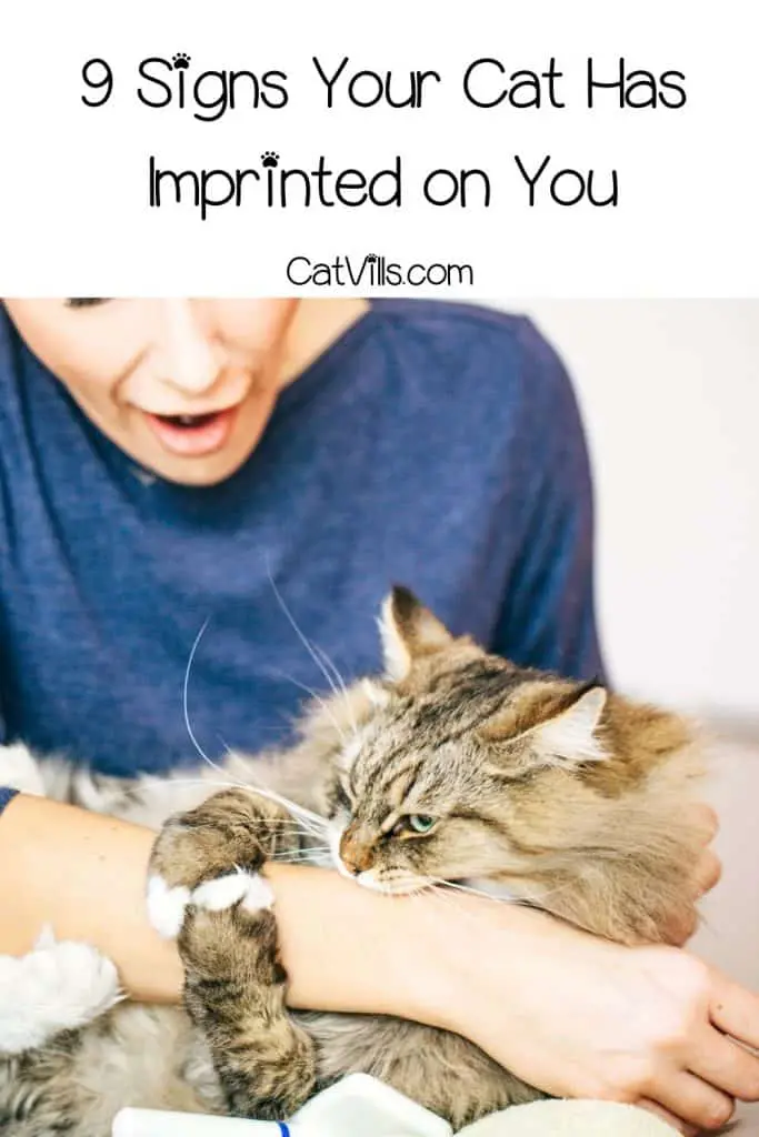 Why Do Cats Imprint On Humans 5 Surprising Reasons