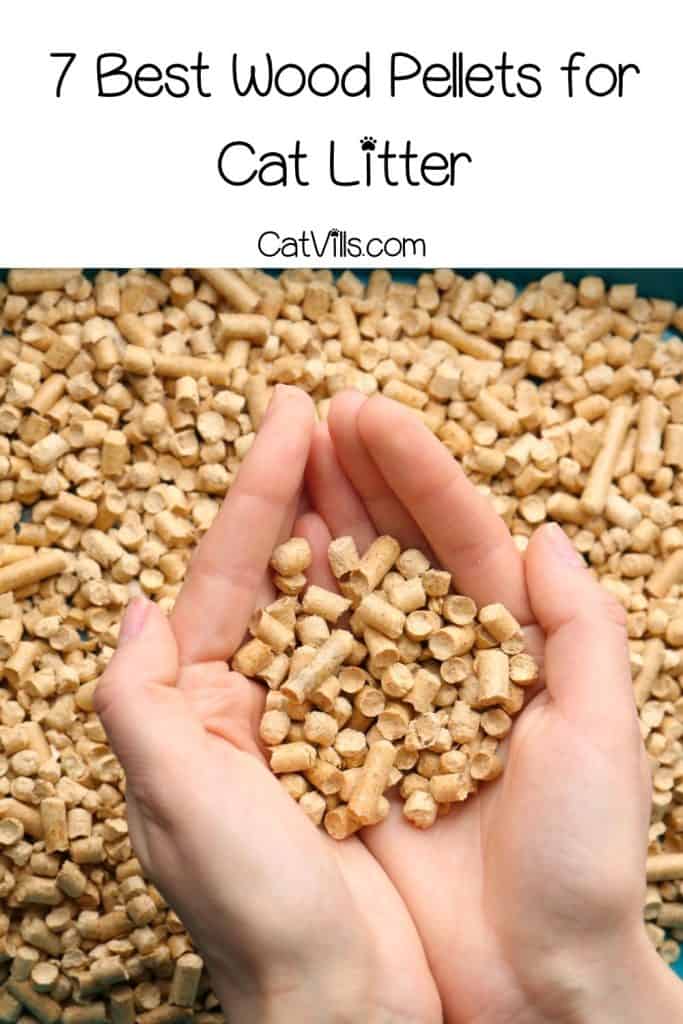 hand holding wood pellets for cat litter