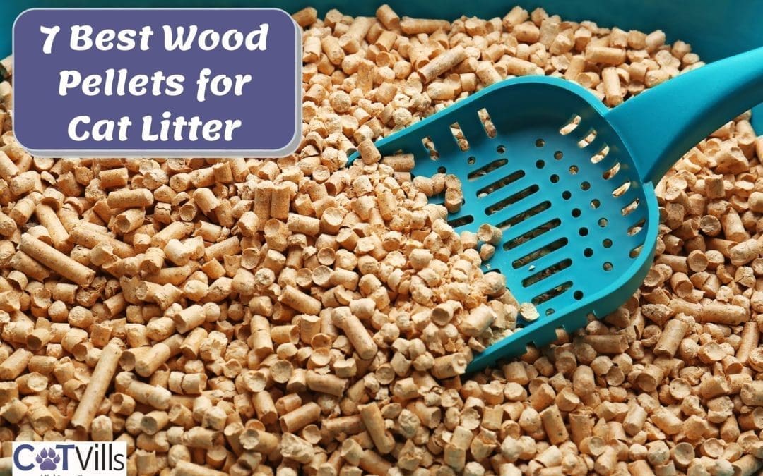 Top 7 Recommended Wood Pellets for Cat Litter in 2022