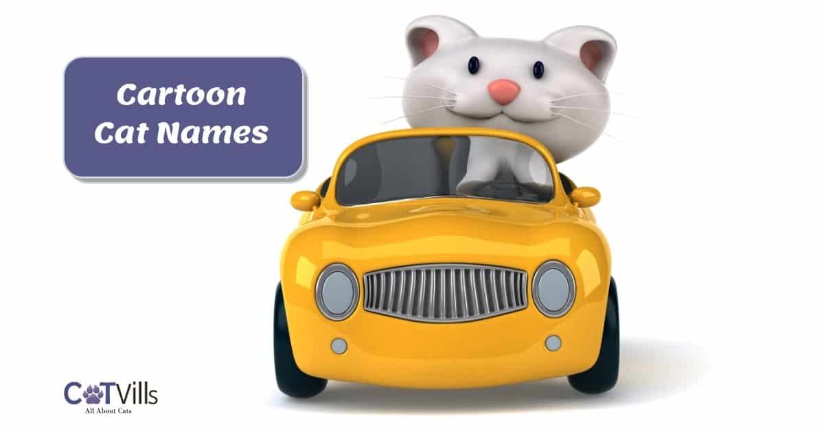 400+ Cartoon Cat Names from Your Favorite Animated Shows