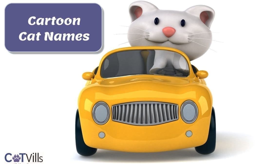 400+ Cute Cartoon Character Names For Cats