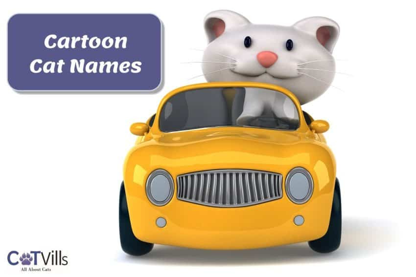 cartoon cat riding a yellow car beside cartoon cat names poster