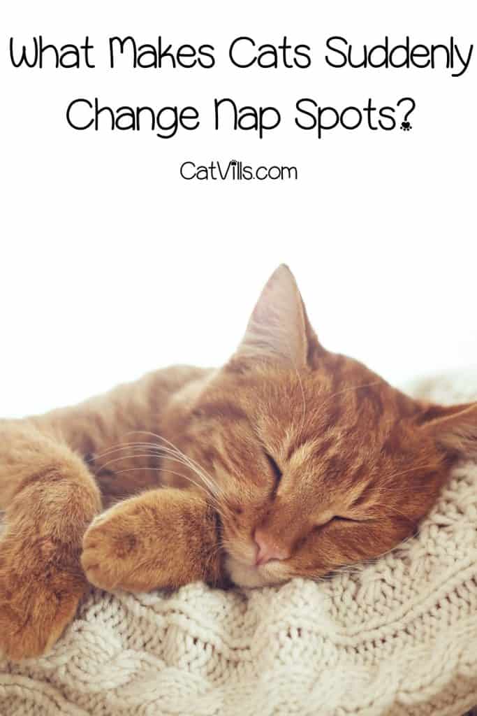 Orange cat sleeping with text about why does a cat change sleep spots