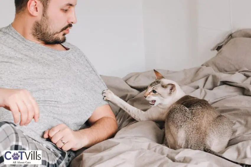 cat scratching his owner but why do cat scratches sting?