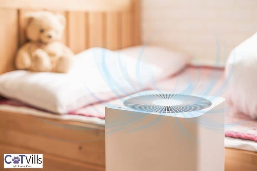 air purifier in the bedroom