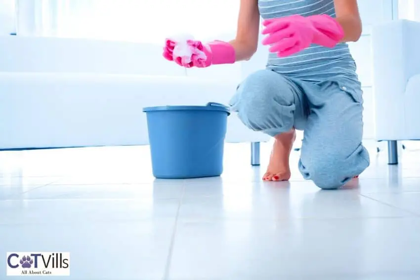 lady cleaning the floor