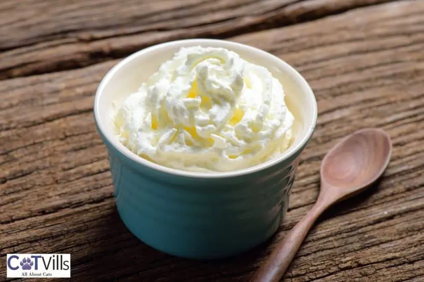 whipped cream on a ceramic bowl