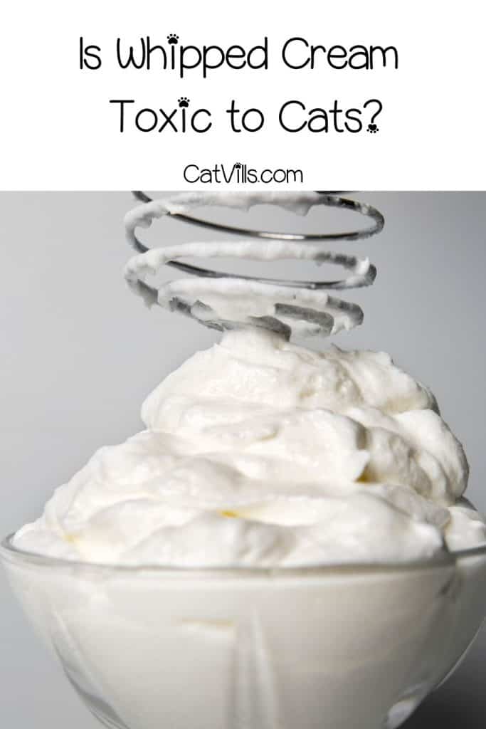 whipped cream on a bowl