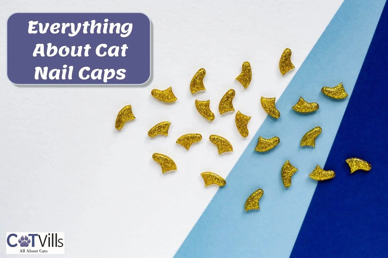 Cat Nail Caps Everything You Need to Know