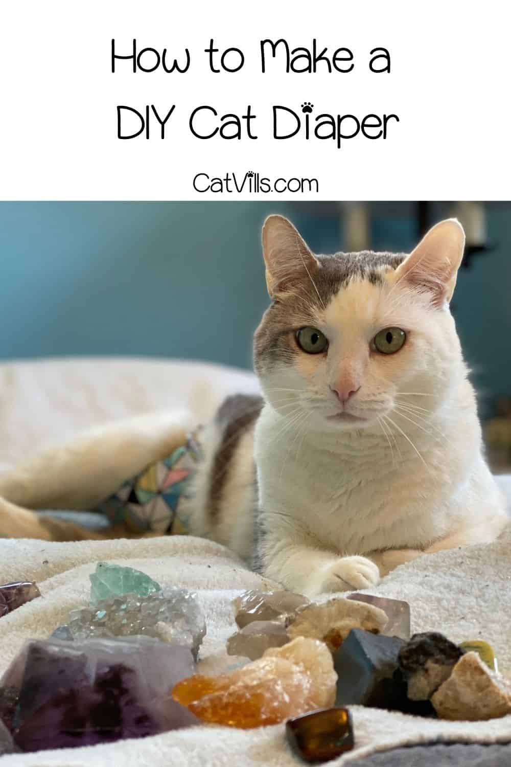 How to Make a DIY Cat Diaper in 6 Easy Steps! (Guide)