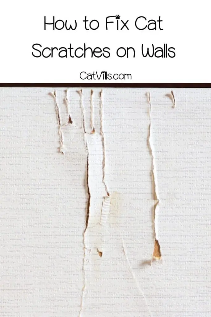 how to fix cat scratches on wall