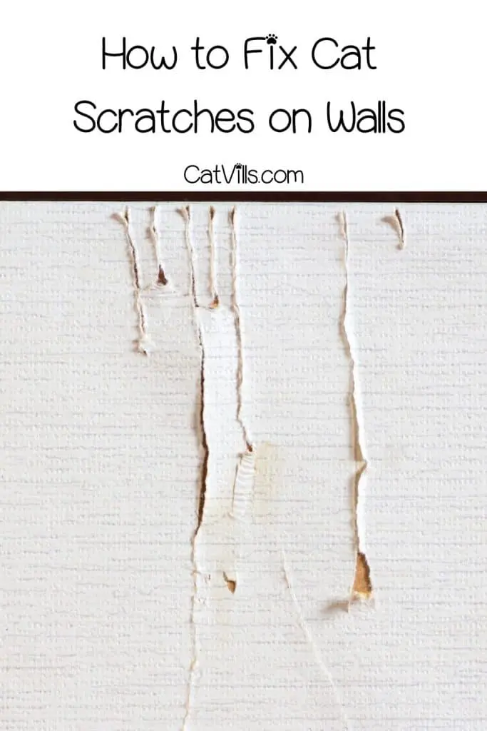 How To Fix Cat Scratches On Walls In Easy Steps