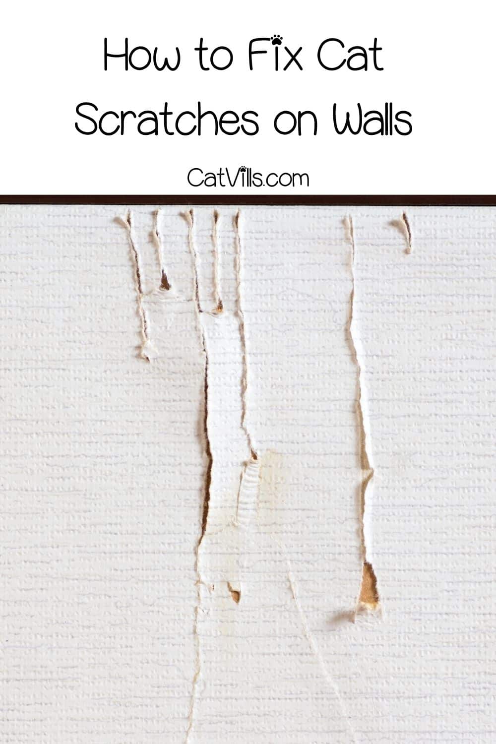 How to Fix Cat Scratches on Walls in 3 Easy Steps!