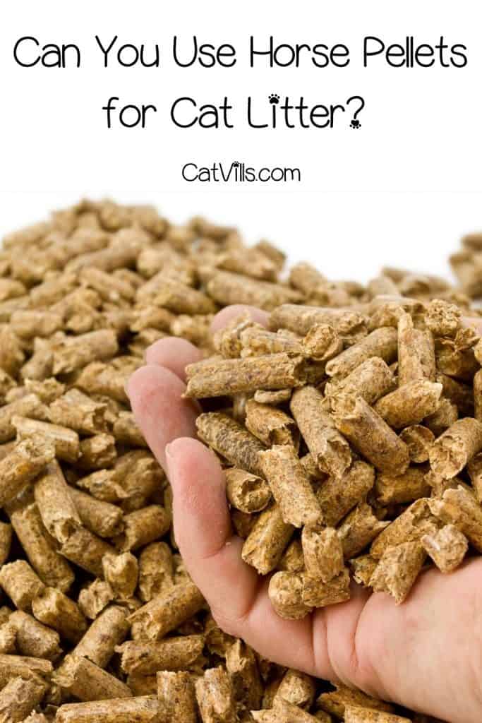 Can You Use Horse Pellets for Cat Litter? (Pros & Cons) (2022)