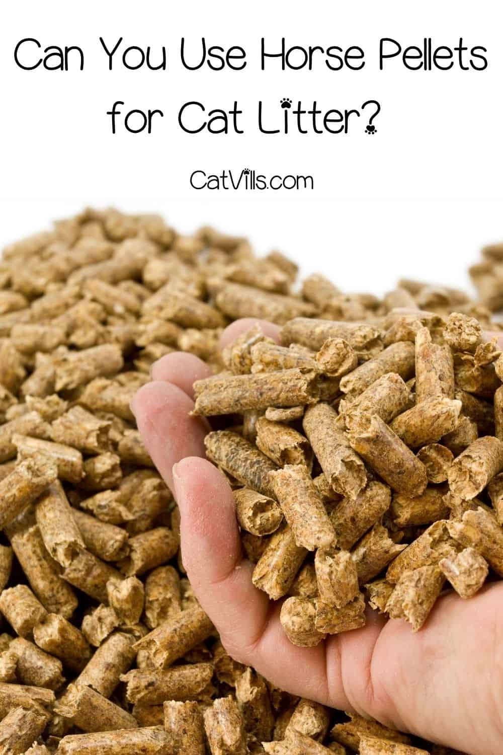 Can You Use Horse Pellets for Cat Litter? Things To Consider