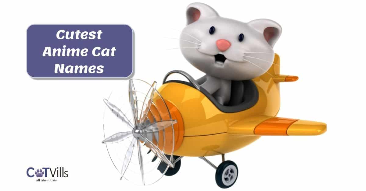 140+ Cute Anime Names for Cats for Your Adorable Kitty!