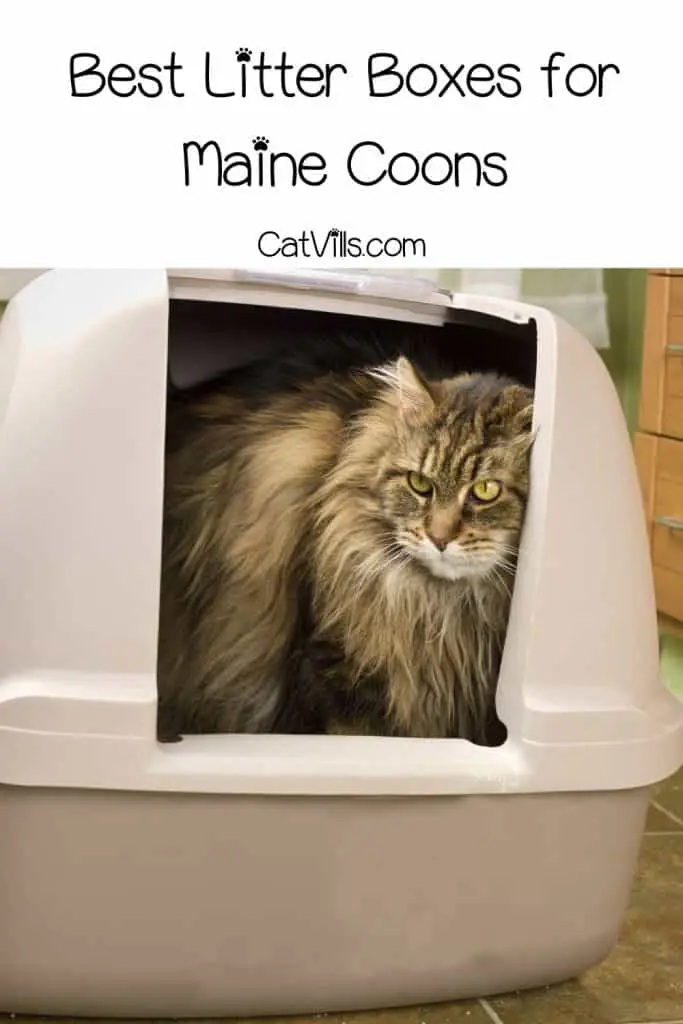 Hooded cat loo enclosed Cat In Love litter tray toilet box by AJS 