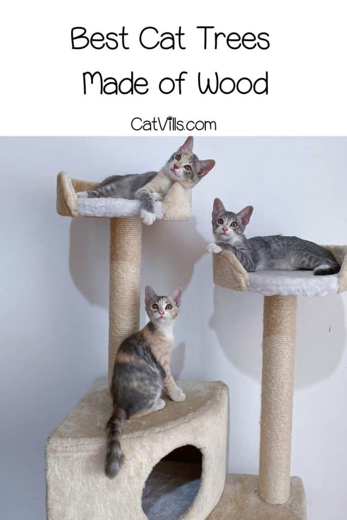 3 kittens relaxing on their wooden cat tree