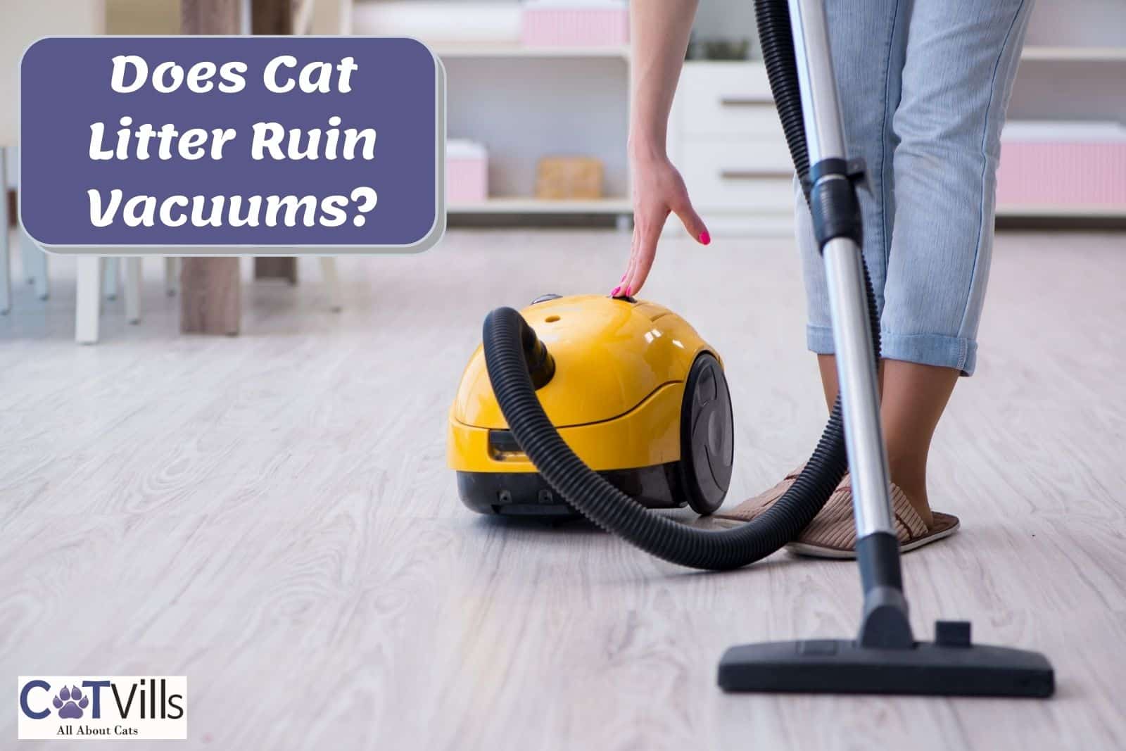 Does Cat Litter Ruin Vacuums? (Best Ways to Pick Cat Litter)