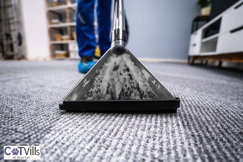 vacuuming the carpet