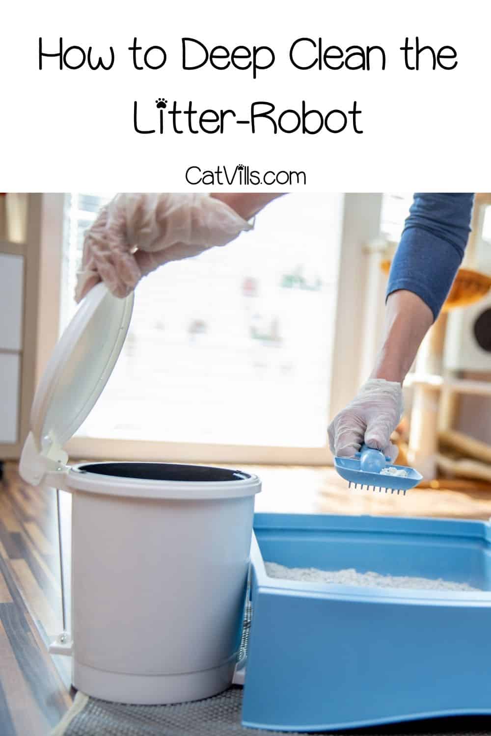 How to Deep Clean the LitterRobot? (StepbyStep Guide)