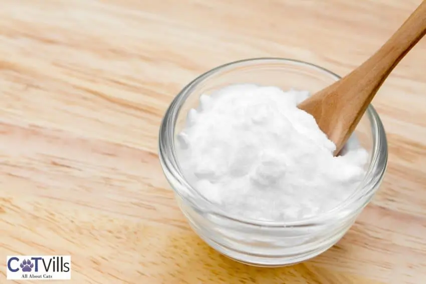 baking soda on a small bowl