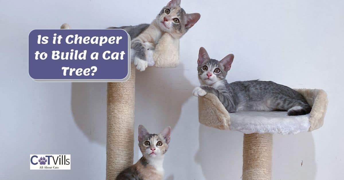 Is it Cheaper to Build a Cat Tree? (DIY Cat Tree Plans)