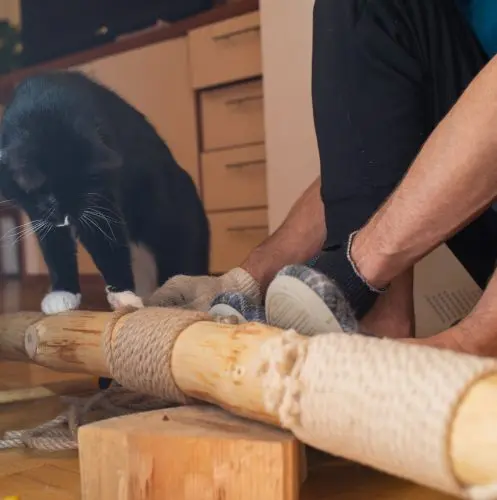 a man making a diy cat tree for his cat but Is it Cheaper to Build a Cat Tree?