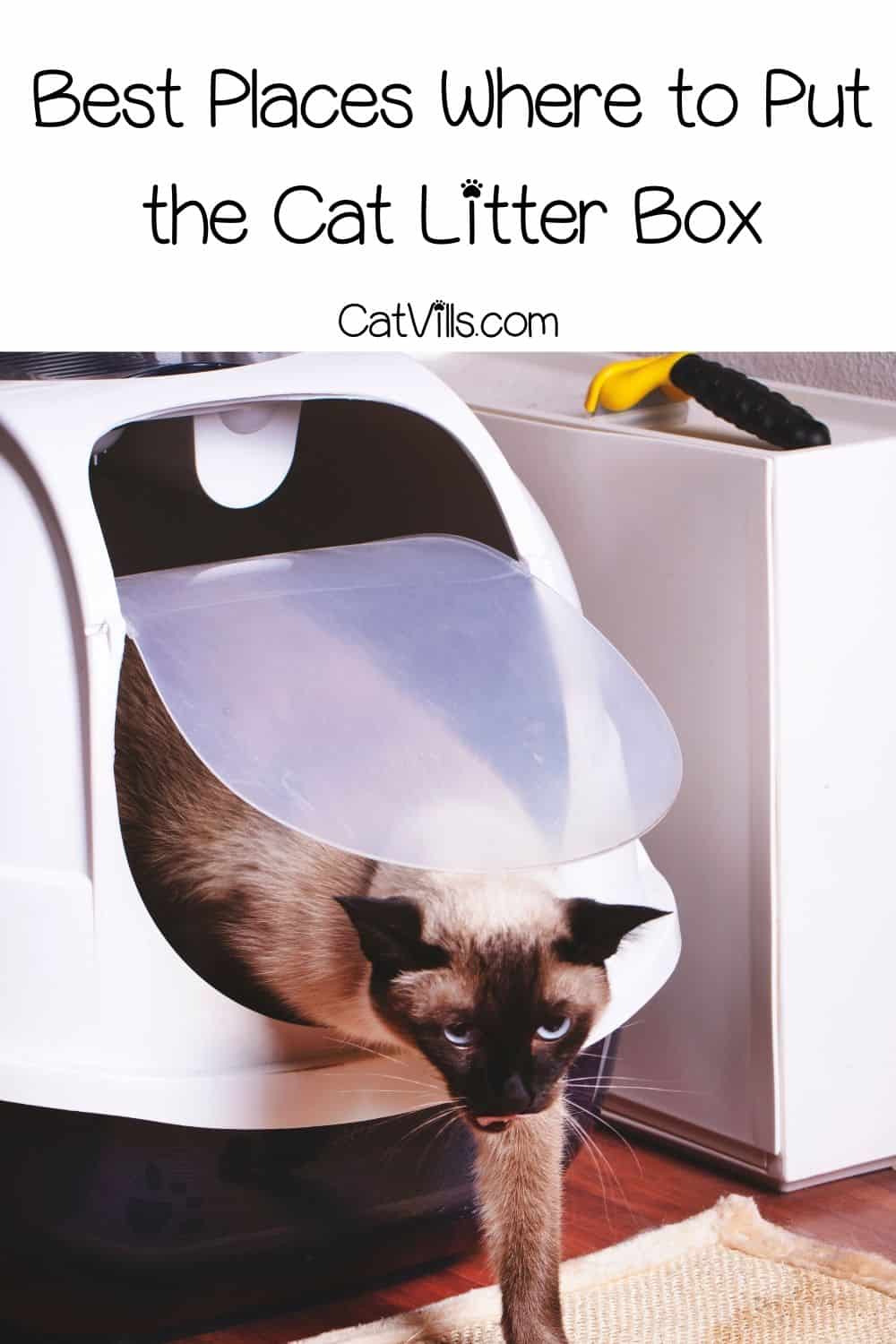 Where to Put a Litter Box Best and Worst Spots