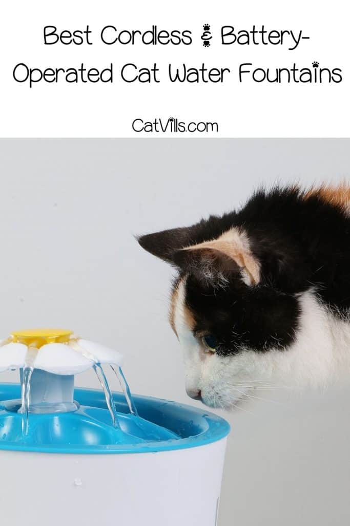 A cat drinking from a water fountain