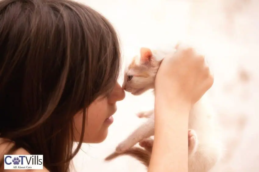 lady rubbing a sphynx cat