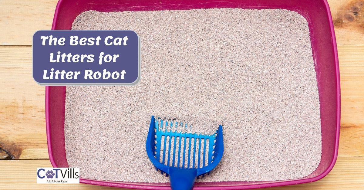 11 Best Cat Litter for Litter Robot for Easy Maintenance