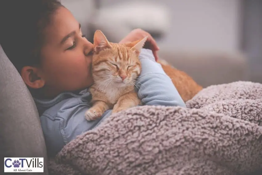 ginger cat sleeping on the chest of the kid