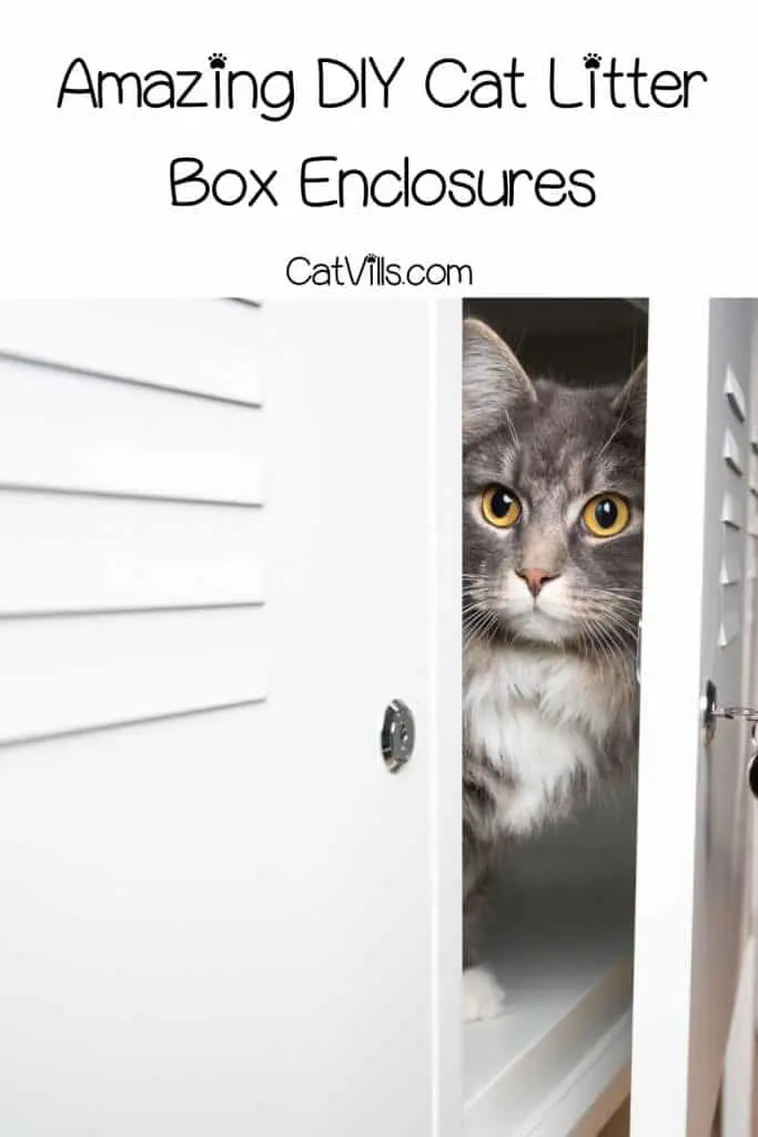 cat inside the DIY Cat Litter Box cabinet