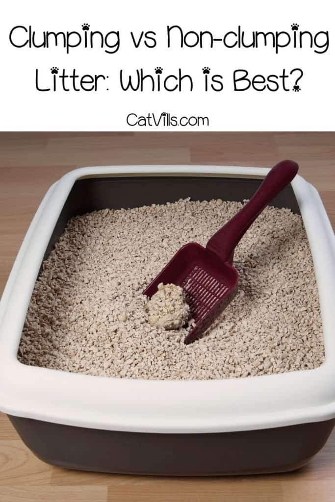 scooping cat litter from the litter box