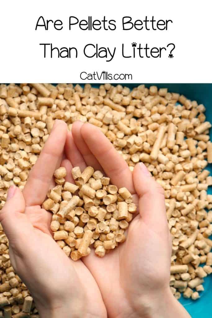 hand grabbed cat litter pellets