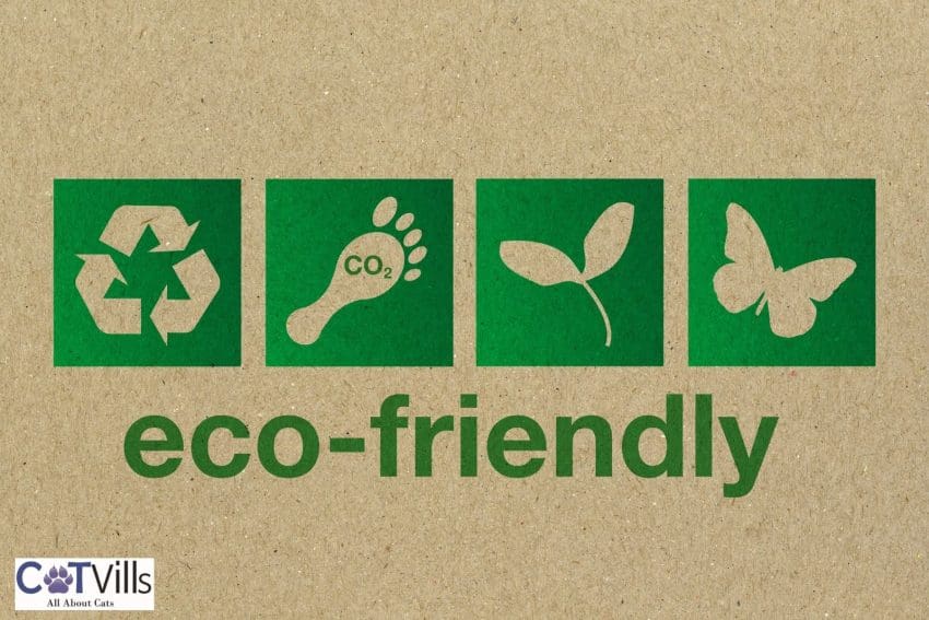 eco friendly cat litter