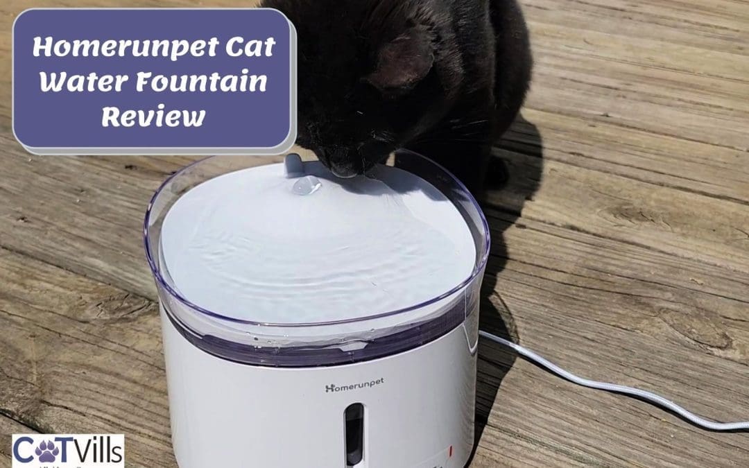 I TRIED THE Homerunpet Cat Water Fountain: (MY HONEST REVIEW)