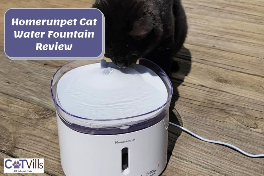 homerunpet cat water fountain review