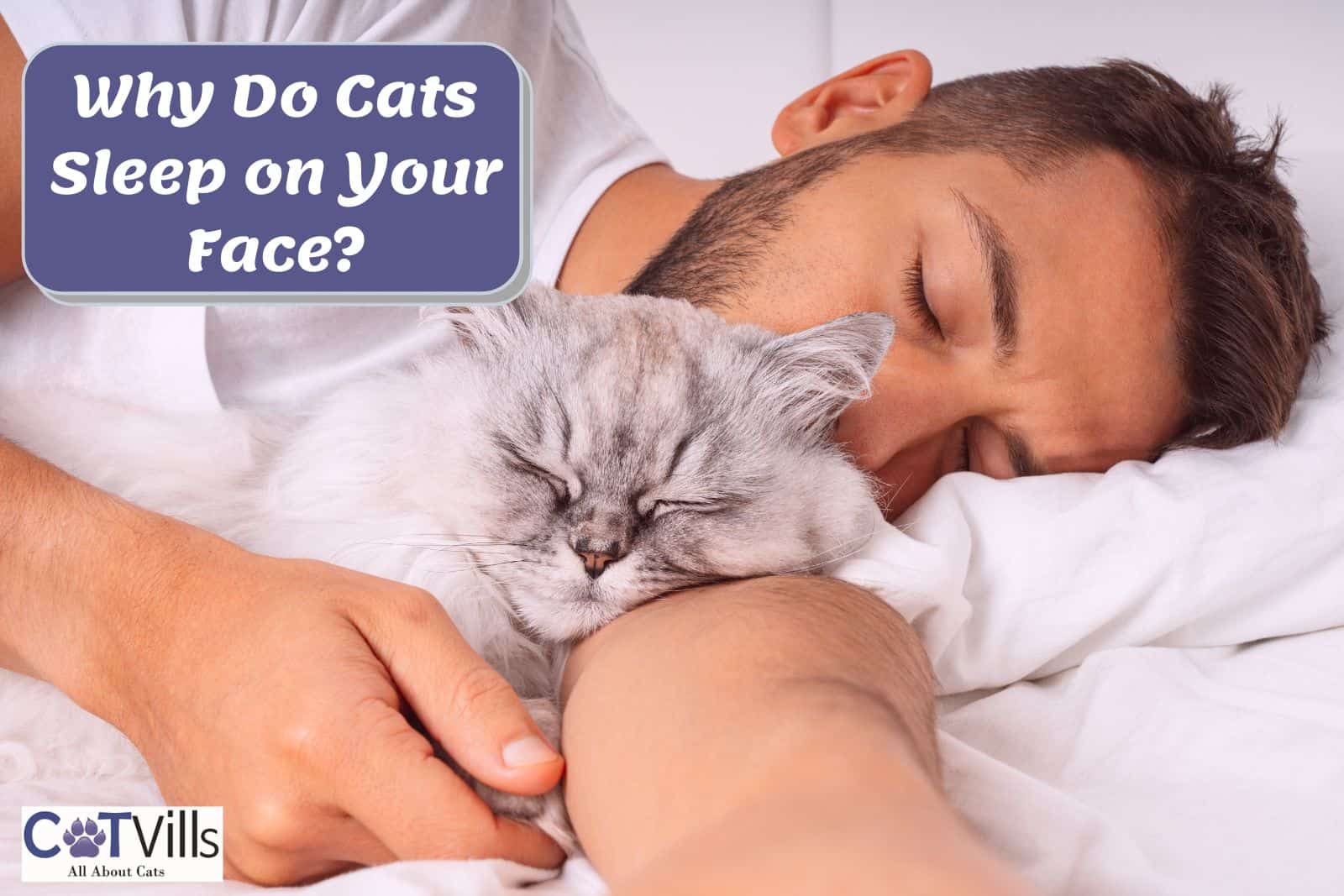 10-reasons-why-cats-sleep-on-your-face-benefits-risks