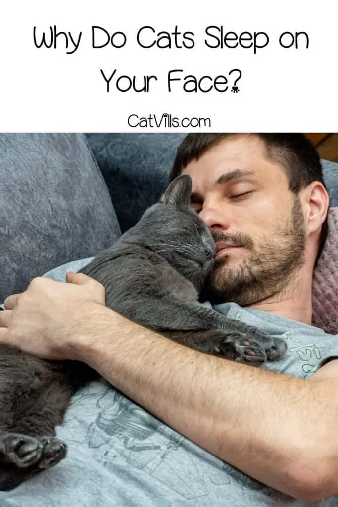 man sleeping with his cat