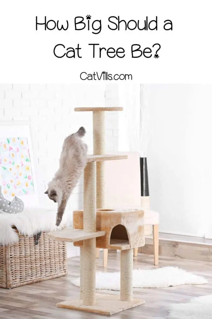 cat getting down a tall cat tree