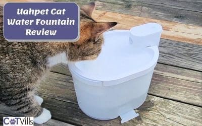 Uahpet Wireless & Battery Operated Cat Water Fountain: The Best?