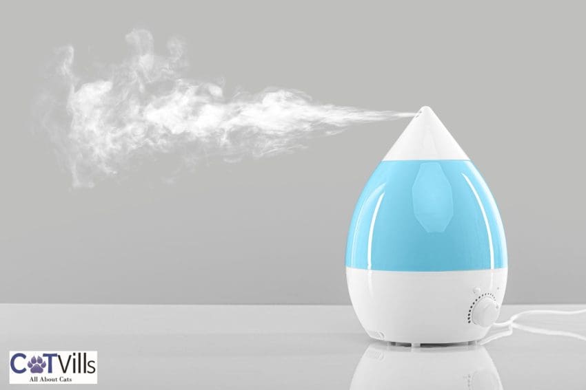 blue humidifier