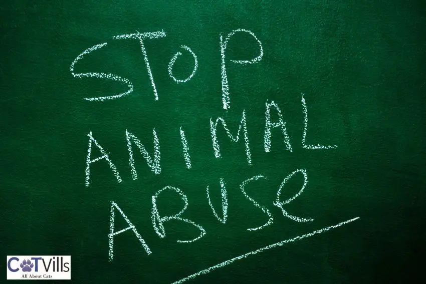 stop animal abuse signage