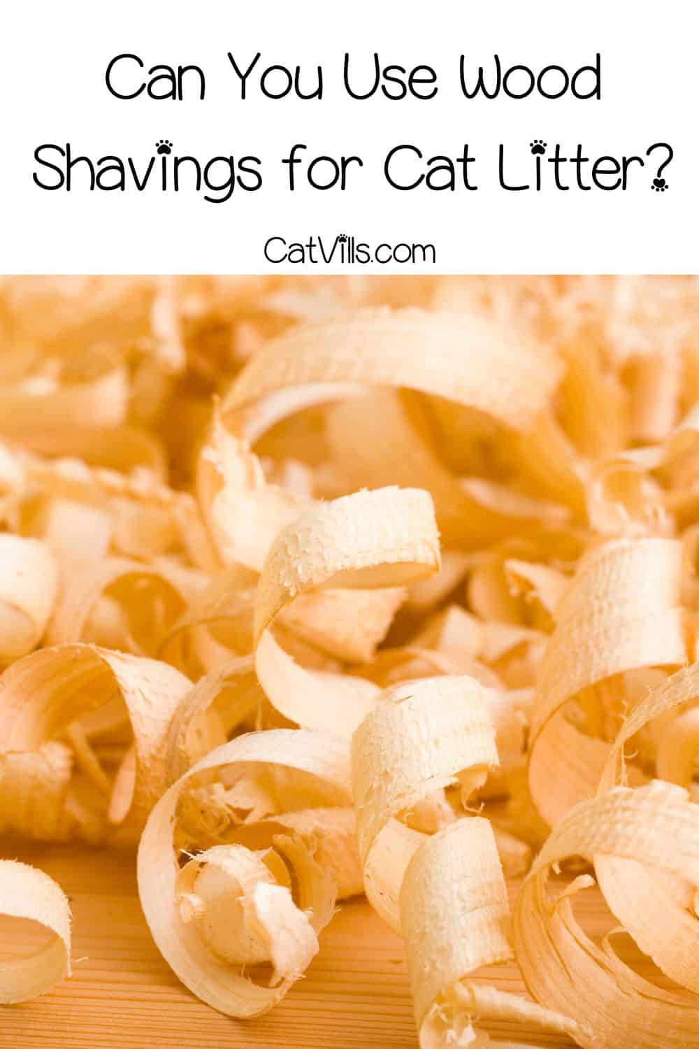 Can You Use Wood Shavings For Cat Litter? (Pros & Cons)