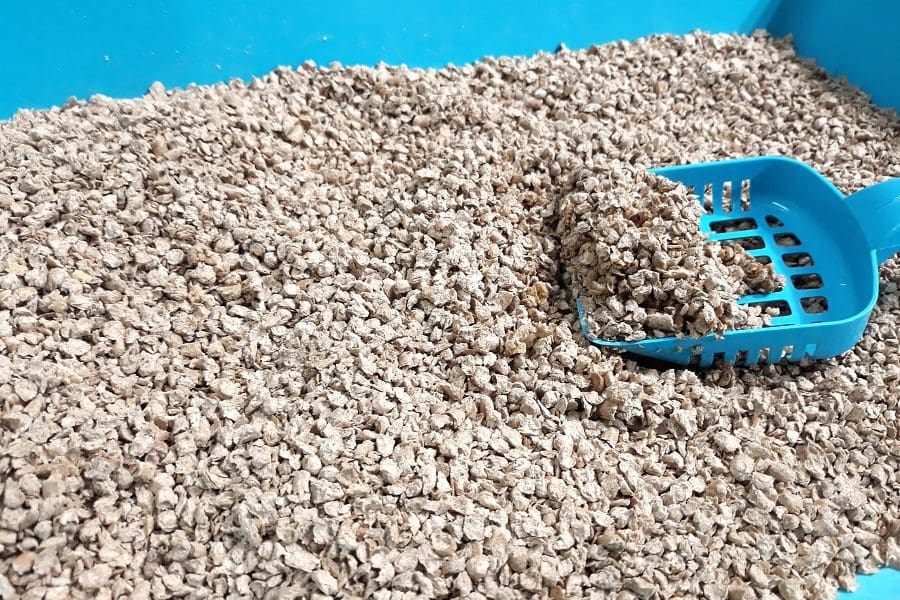 9 Best Cat Litter Scoops You Should Have