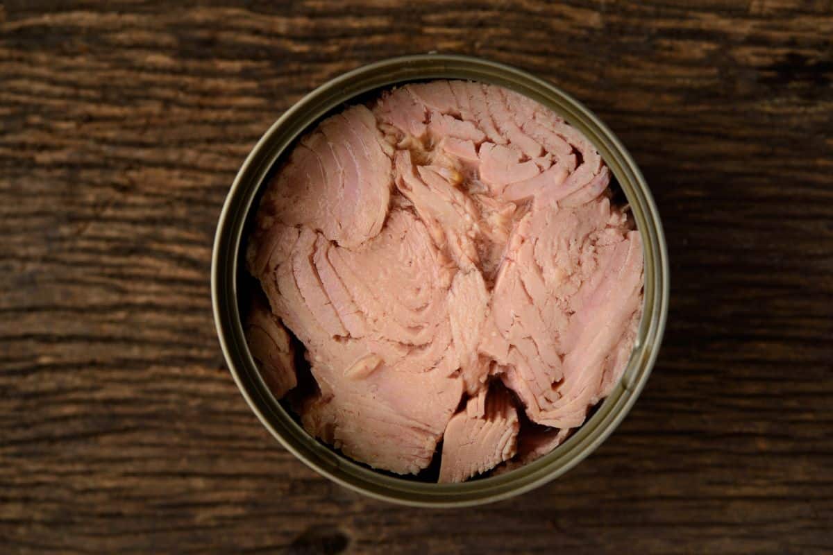Canned Tuna Open
