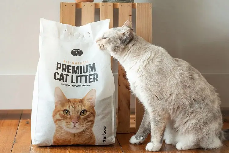 Whiskers Premium Cat Litter For Litter-Robot